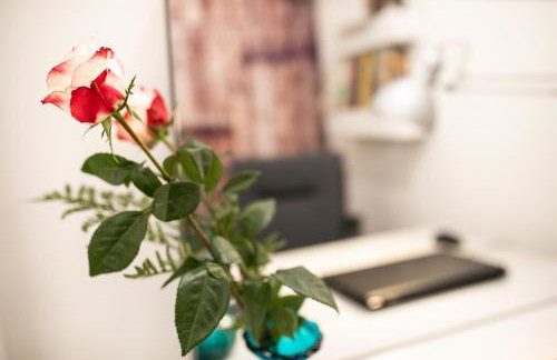 Campus House - Photo 3