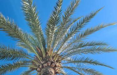 Modern House with large pool! - Photo 4