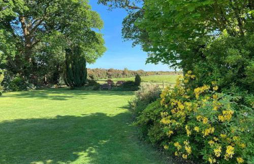 Holmans NEW FOREST - Photo 48