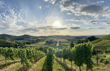 Ferienapartment Huber - Foto 16