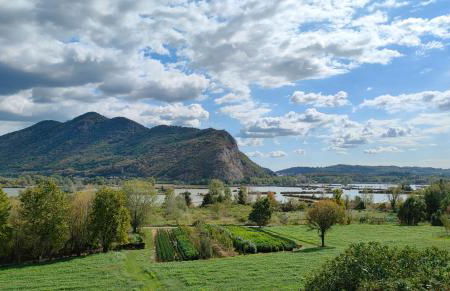 VACANZE LAGO D'ISEO e FRANCIACORTA 2 - Foto 67