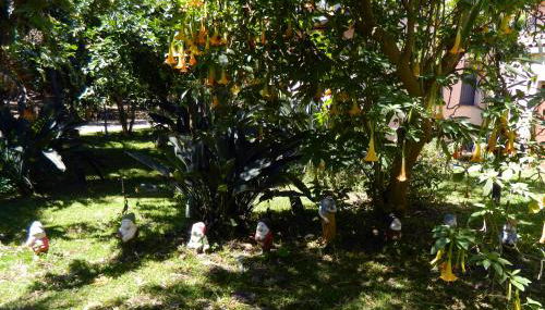 Agriturismo La Grevillea - Foto 5, Garden