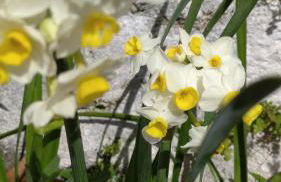 Quinta da Maria - Foto 26