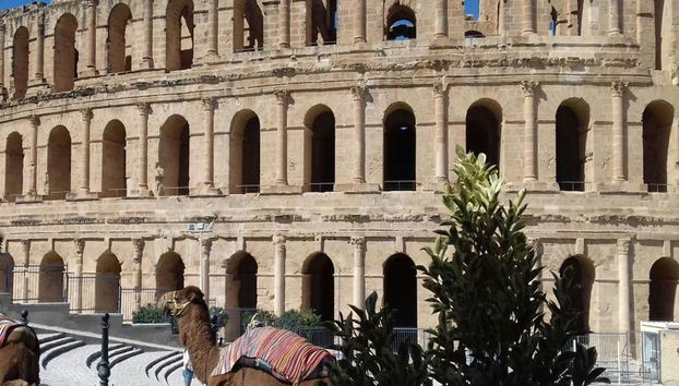 Visita guidata all'Anfiteatro romano di El Jem dal Porto di El Kantaoui - Sousse - Foto 5