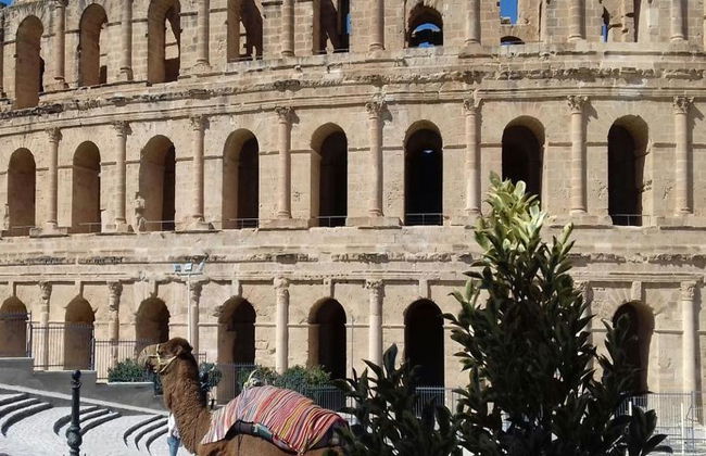 Visita guidata all'Anfiteatro romano di El Jem dal Porto di El Kantaoui - Sousse - Foto 5