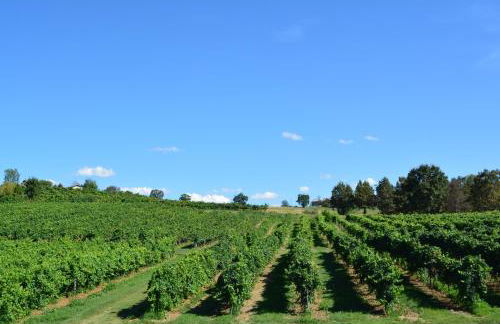 Le Stanze di Bacco - Photo 46