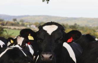 The Winford Retreat - Foto 40