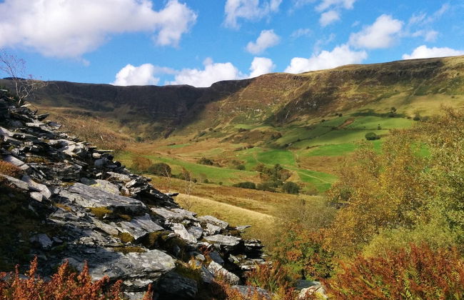 Yr Hen Siop - Foto 18