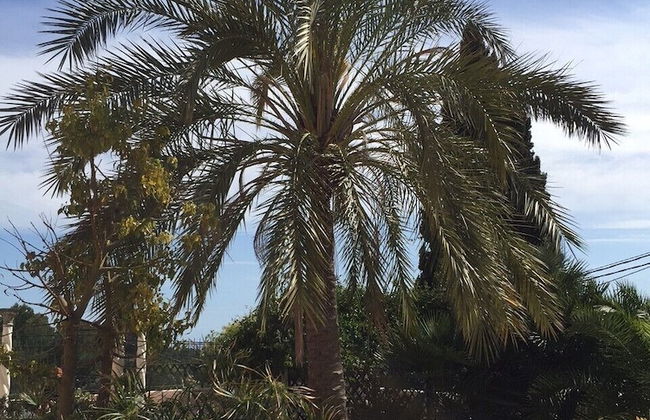 Villa Bon Air - Foto 20