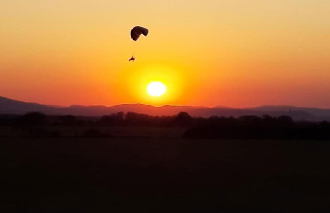 Apartment in Harz With Terrace and Fireplace - Photo 30