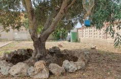 Rifugio al mare - Foto 40