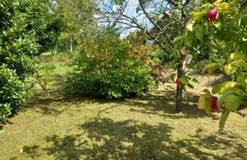 Le Jardin Secret - Foto 33