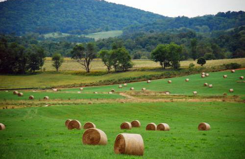 Villa Maud - Foto 25