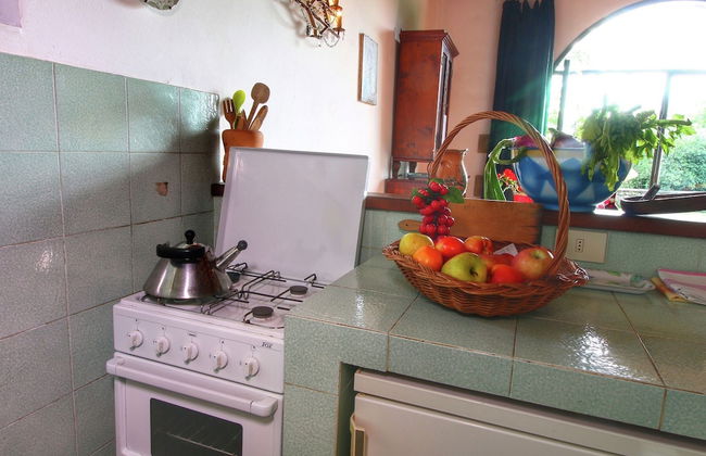 Apartment in a Farmhouse With Swimming Pool - Photo 28