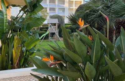 Três palmeiras with pool - Photo 6