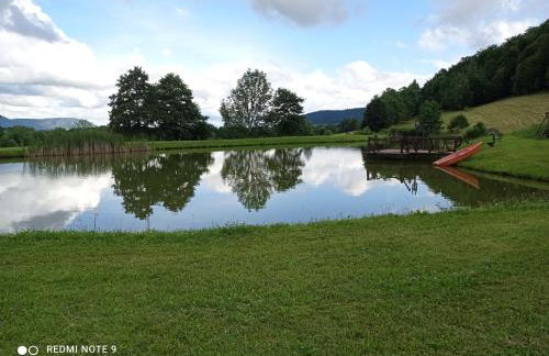 Agroturystyka Ziemowit Karkonosze - Foto 11