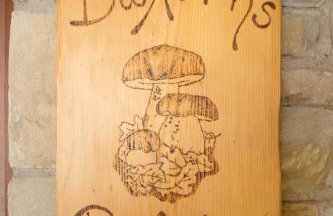 Τα Πέτρινα της Ελάτης - Petrina Elatis - Foto 28