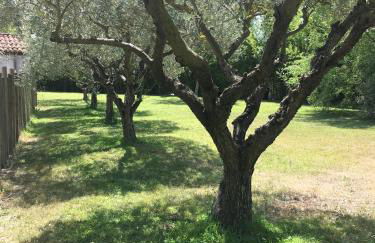 Les cabanes de Vallis Clausa - Foto 14