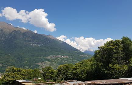 Agriturismo Volpe Golosa - Foto 4