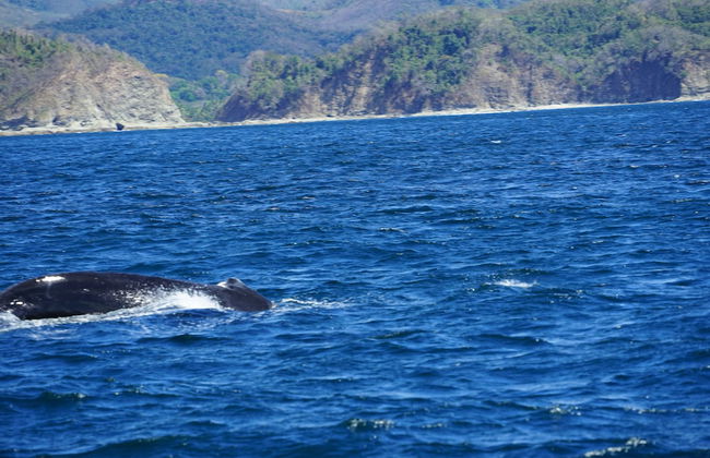 Villas Welcome to Heaven - Foto 72