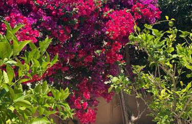 Villa 15 - Beachhouse Luxury Villa - 300m Beach - WIFI - Klima - Foto 33