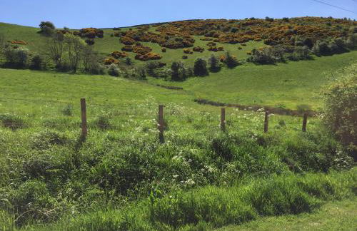 Martinshouse Holiday Cottage, Hawick, Borders - Foto 17