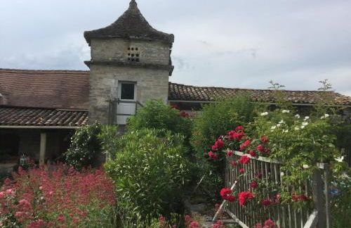Le Gîte Pérard - Foto 15