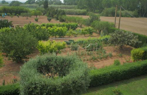 Mas Puig Roig - Foto 35