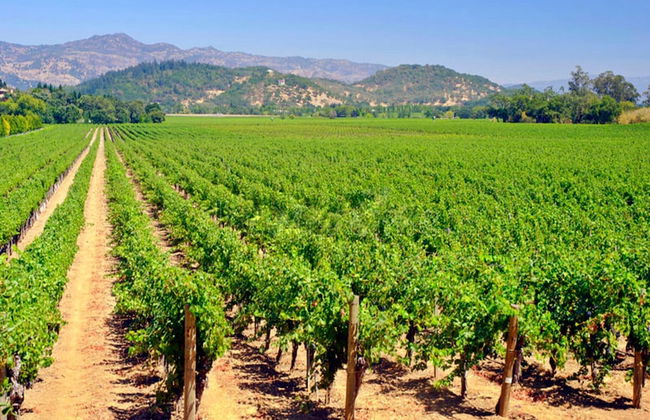 Holiday Home on the Silver Coast, Verdon-sur-mer - Foto 13