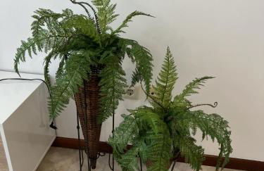 Apartamento Pintor - Foto 15