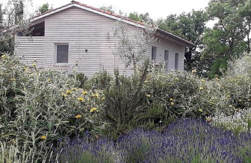 Agriturismo Timignano - Foto 31