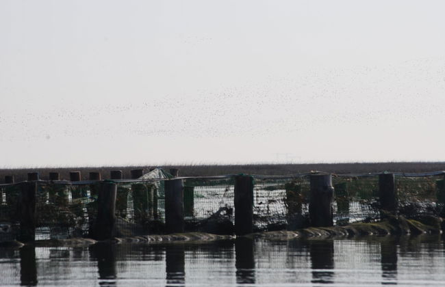 Agriturismo Ae Cavane - Photo 46