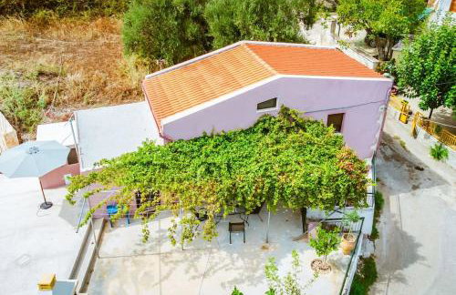 Xanthippi's - Foto 9