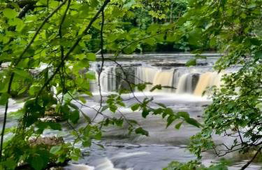 Kingfisher Cottage at Aysgarth Falls - Foto 19