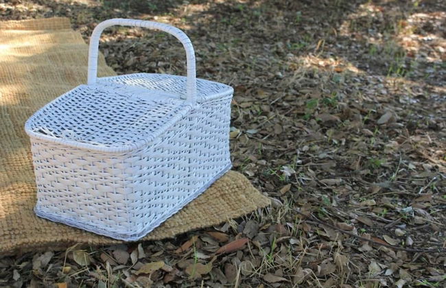 Quinta dos Anjos - Foto 39