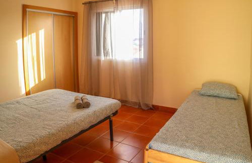 O DRAGOEIRO da Madalena! - Foto 30