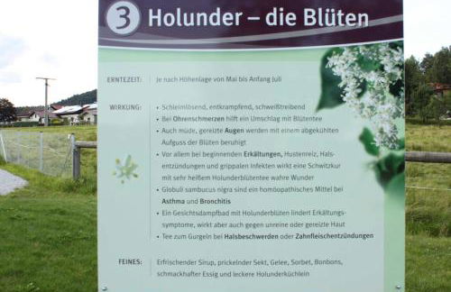 Fewo mit malerischem Bergblick im - Foto 7