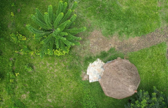 Refuge du Mont Agou - Photo 36