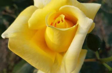 Barchessa Da Rio - Foto 3