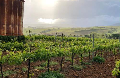 Traditional Portuguese Village House - Casa Martins no 52 - Foto 38