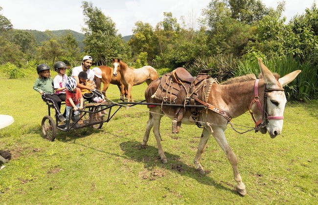 Rancho con Caballos El Reencuentro - Foto 59