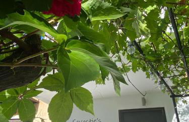 Sevastie's Home - downstairs - Foto 7