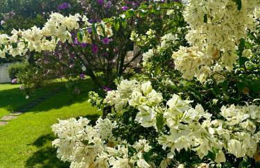 Chácara Primor - Com piscina, campo de futebol e churrasqueira - Conforto completo - Photo 66