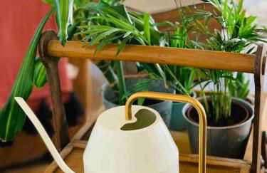 La petite maison de Justin - Jacuzzi privatif - Foto 16