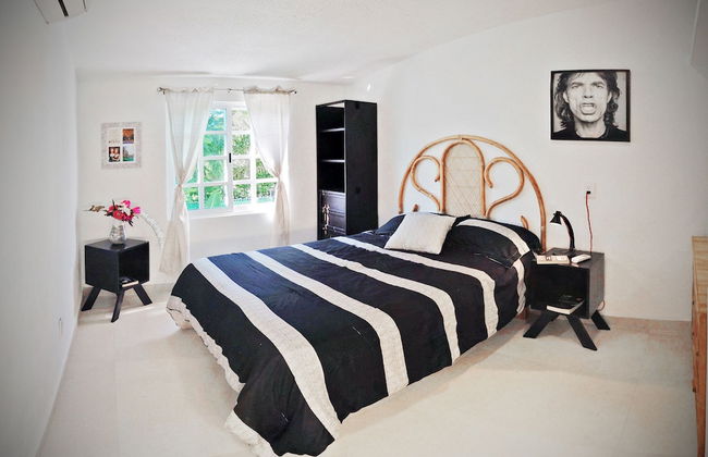 HominngBird - Foto 19