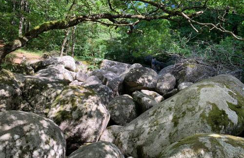 Le repaire du châtaignier, Maison à la campagne, 8 pers, 4 ch, Sidobre - Foto 42