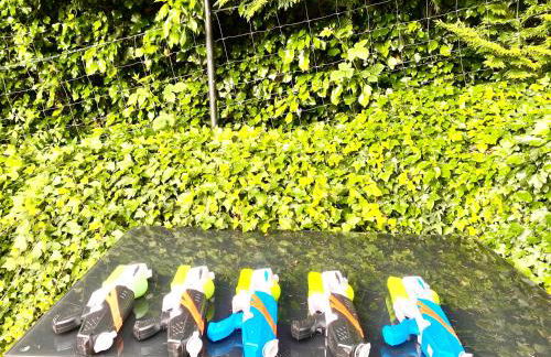 LA VILLA DES OISEAUX - La Petite Pierre - Foto 24