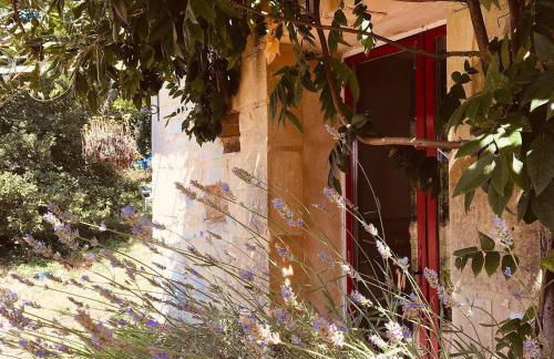 Centre Equestre Du Passe Temps - Foto 14