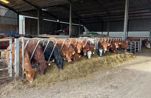 Weatherhead Farm - Foto 65