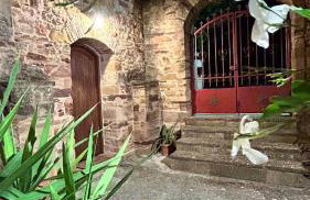 Jasmine Kampos - Foto 13